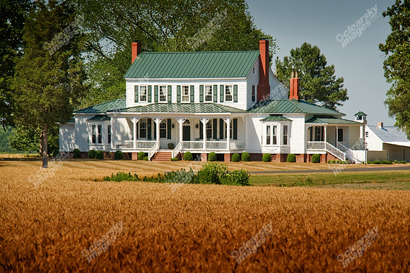 grimesland-plantation-797