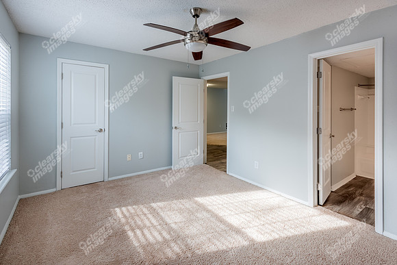 101-timber-int8152
