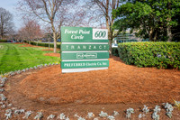 600-forest-ext8398