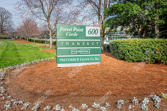 600-forest-ext8398