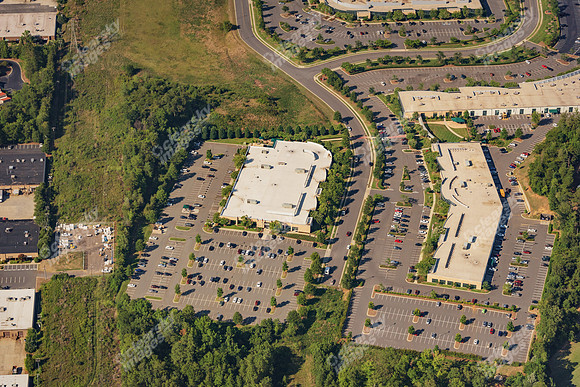 forest-point-air-11-3731