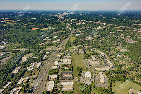 forest-point-air-3729