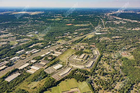 forest-point-air-3739