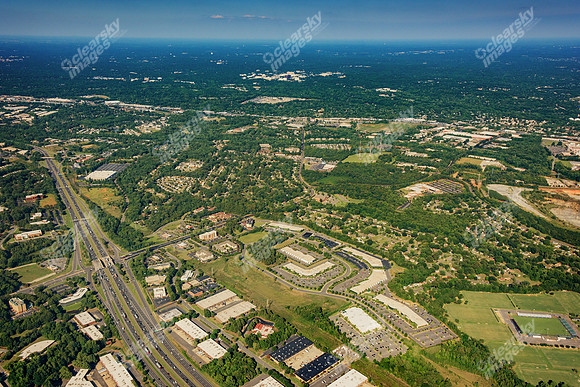 forest-point-air-3796