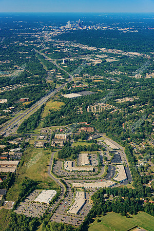 forest-point-air-3806