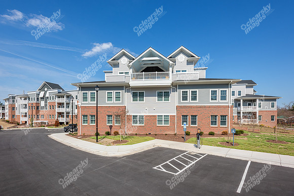 100-hickory-ext9127