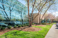 500-forest-ext2495