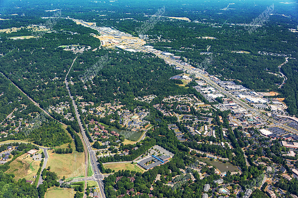 forest-chasewood-air-4487
