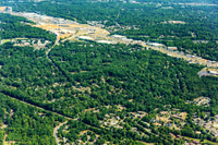 forest-chasewood-air-4482