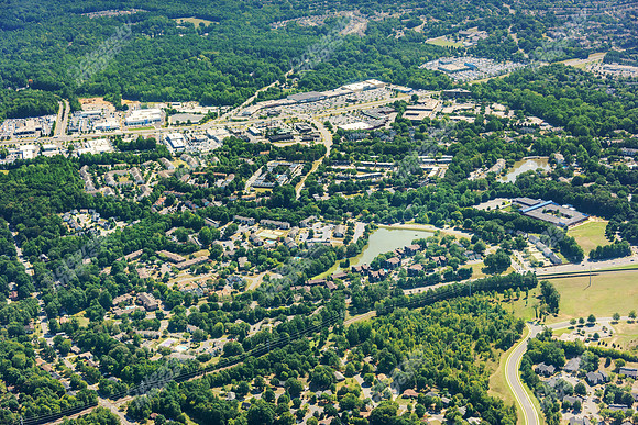 forest-chasewood-air-4476