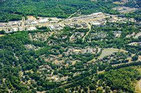 forest-chasewood-air-4475