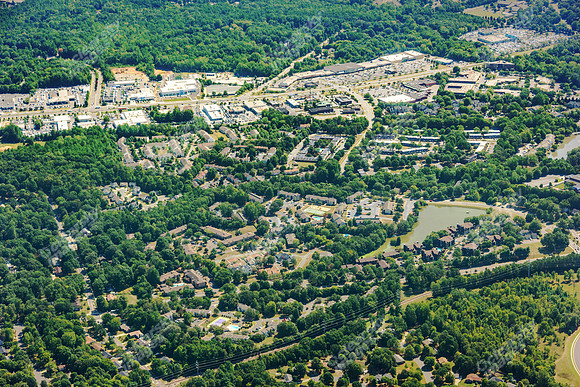 forest-chasewood-air-4475