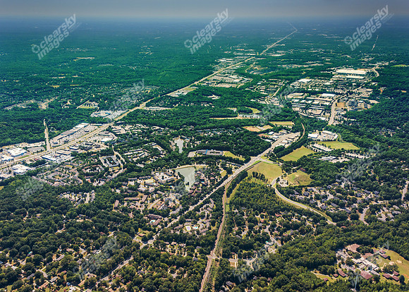 forest-chasewood-air-4470