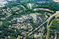 forest-chasewood-air-4468