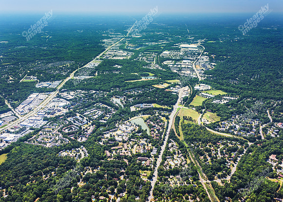 forest-chasewood-air-4465