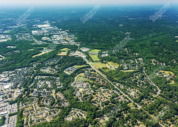 forest-chasewood-air-4461