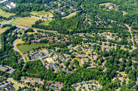 forest-chasewood-air-4459