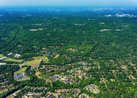forest-chasewood-air-4457