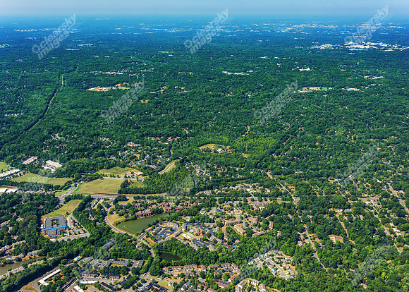 forest-chasewood-air-4457
