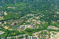 forest-chasewood-air-4453