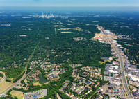 forest-chasewood-air-4445
