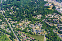 forest-chasewood-air-4437