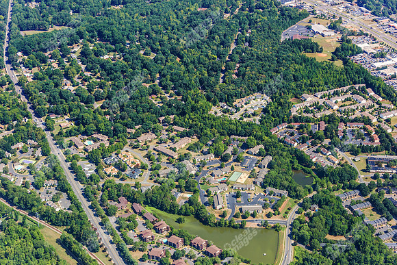 forest-chasewood-air-4437