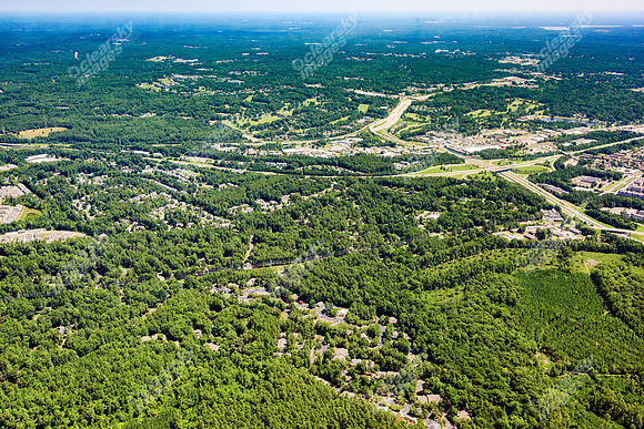 the-forest-aerials-360