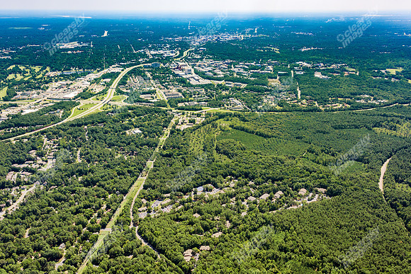 the-forest-aerials-358