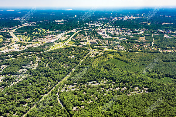 the-forest-aerials-359