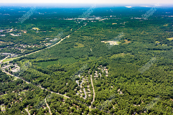 the-forest-aerials-356