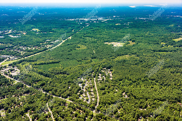 the-forest-aerials-355