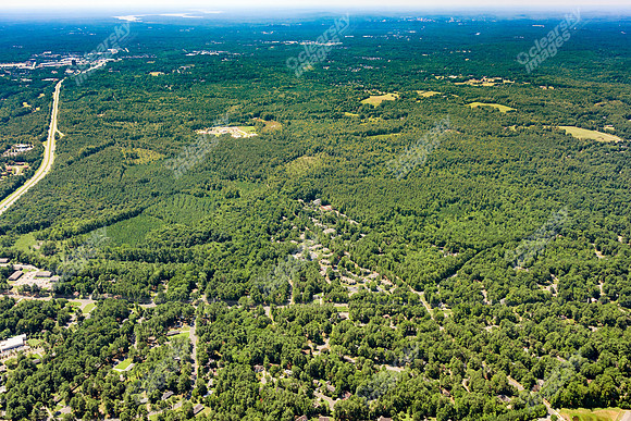 the-forest-aerials-354