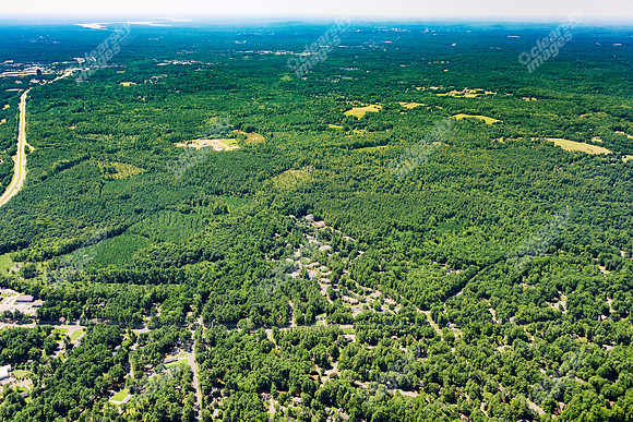 the-forest-aerials-346
