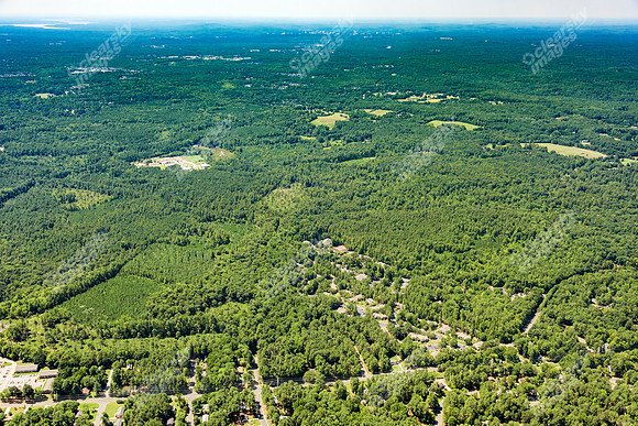 the-forest-aerials-343