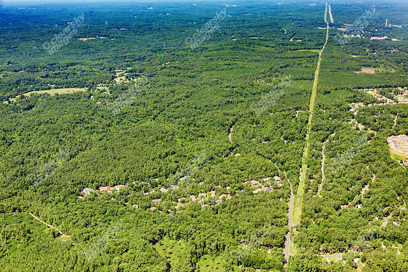 the-forest-aerials-340