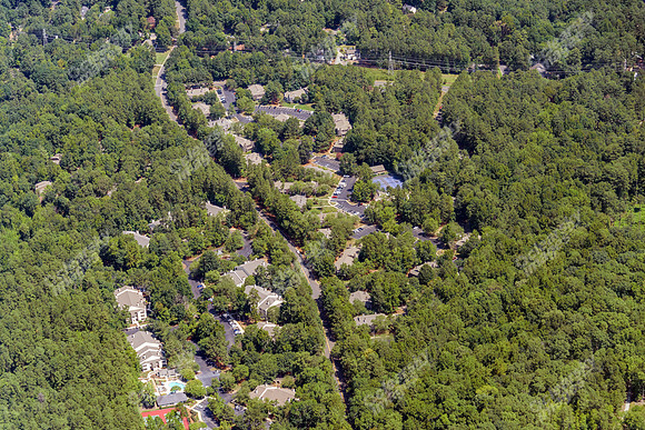 the-forest-aerials-334
