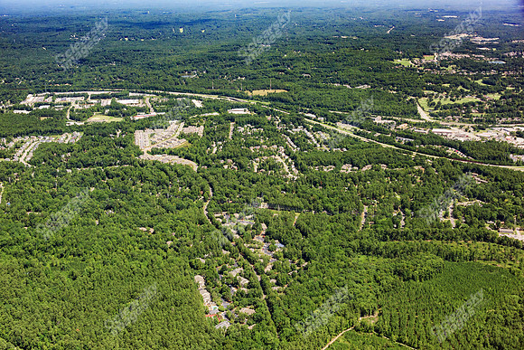 the-forest-aerials-332