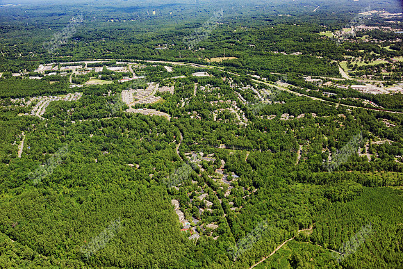 the-forest-aerials-330