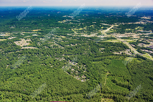 the-forest-aerials-324