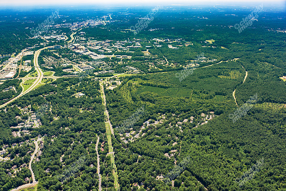 the-forest-aerials-311