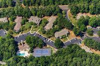 the-forest-aerials-308