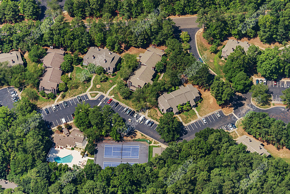 the-forest-aerials-308