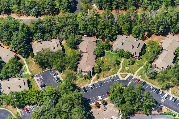 the-forest-aerials-307