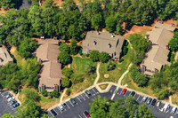 the-forest-aerials-306