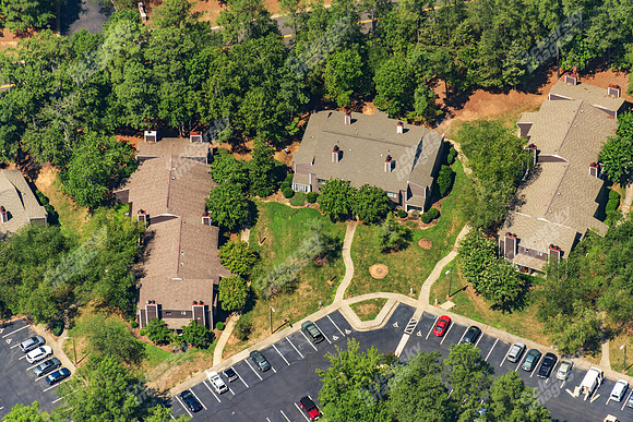 the-forest-aerials-306