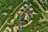 the-forest-aerials-304