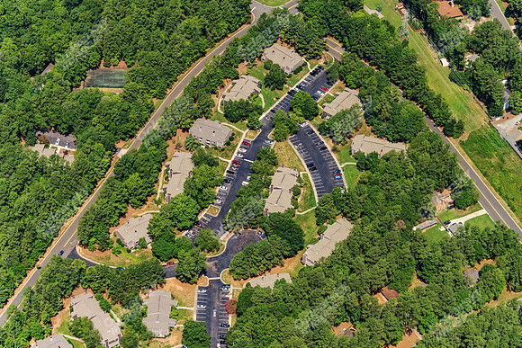 the-forest-aerials-304
