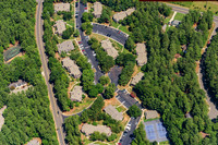 the-forest-aerials-303