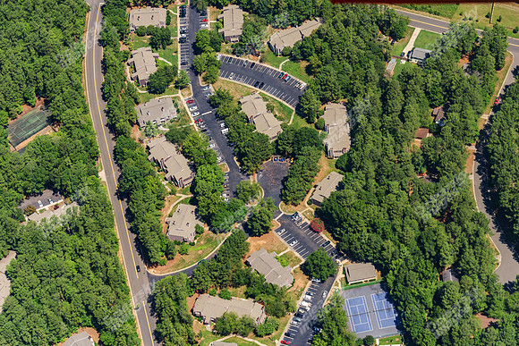 the-forest-aerials-303